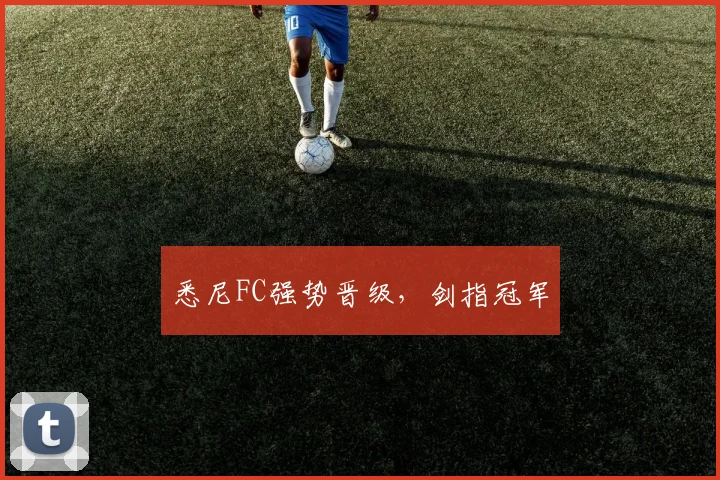 悉尼FC强势晋级，剑指冠军