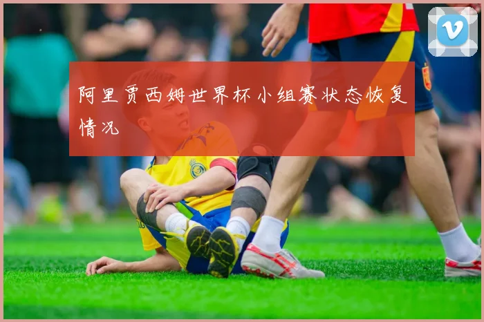 阿里贾西姆世界杯小组赛状态恢复情况