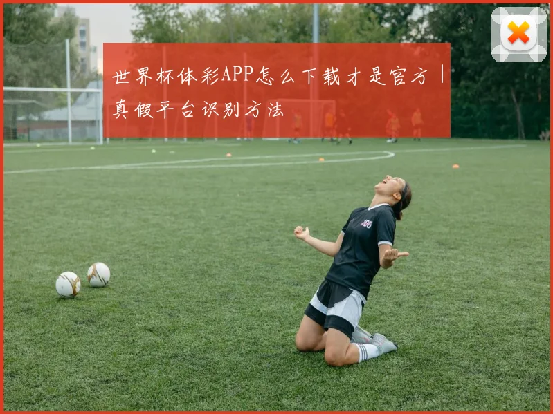 世界杯体彩APP怎么下载才是官方｜真假平台识别方法