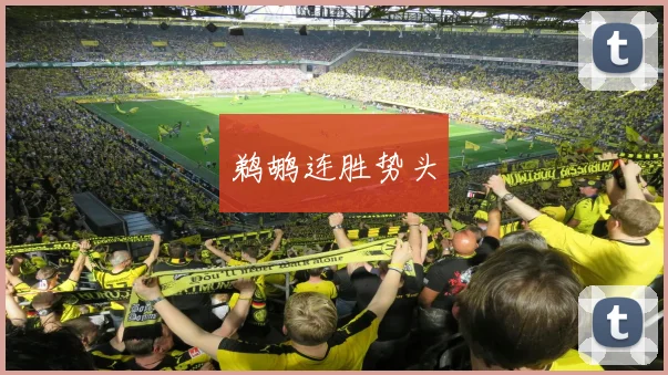 鹈鹕连胜势头