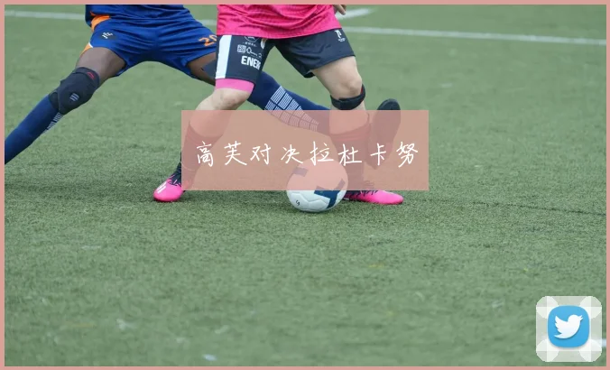 高芙对决拉杜卡努
