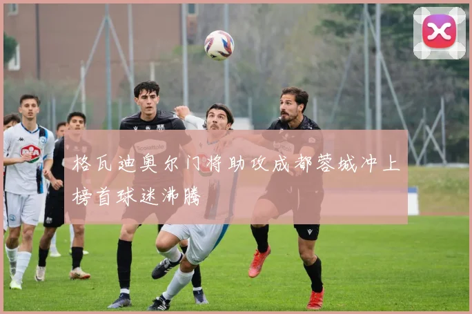 格瓦迪奥尔门将助攻成都蓉城冲上榜首球迷沸腾