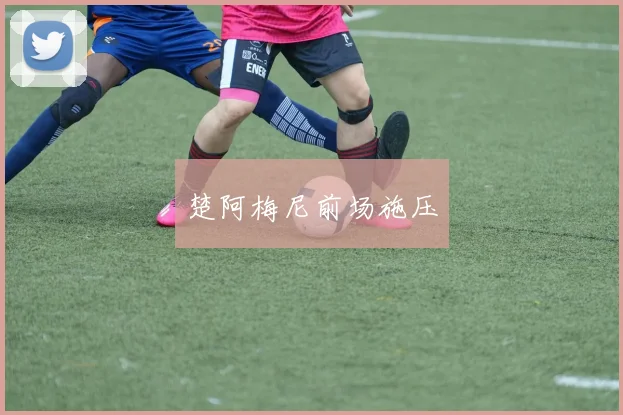 楚阿梅尼前场施压