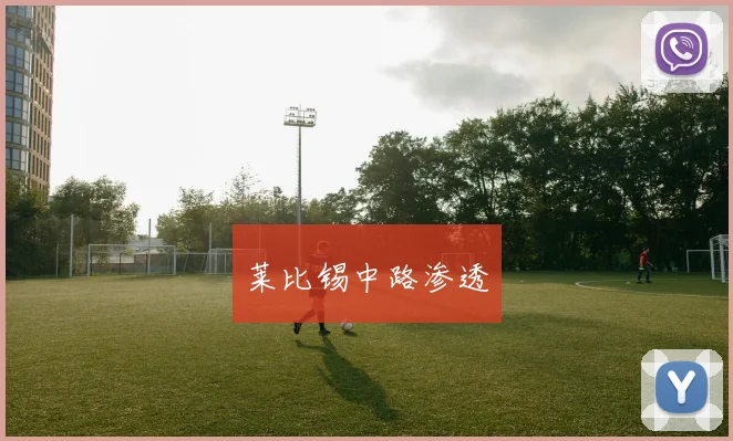 莱比锡中路渗透