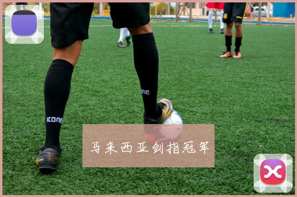马来西亚剑指冠军