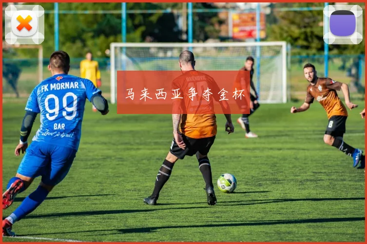 马来西亚争夺金杯