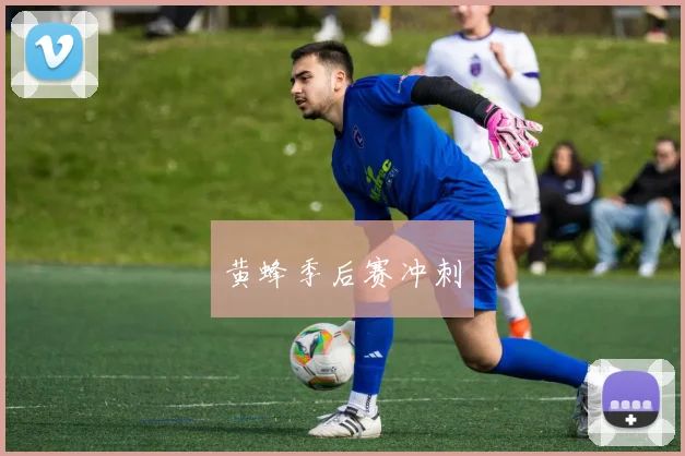 黄蜂季后赛冲刺