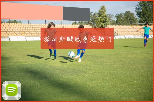深圳新鹏城夺冠热门