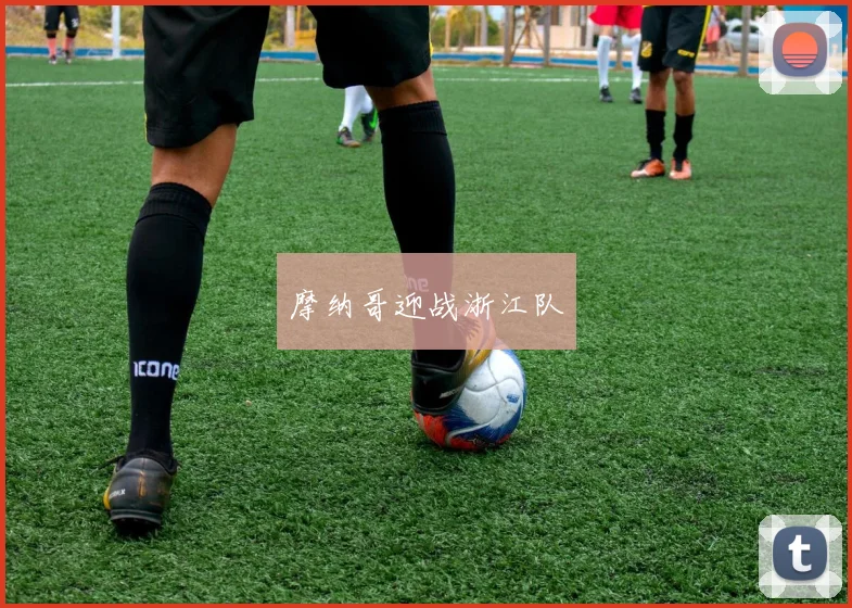 摩纳哥迎战浙江队