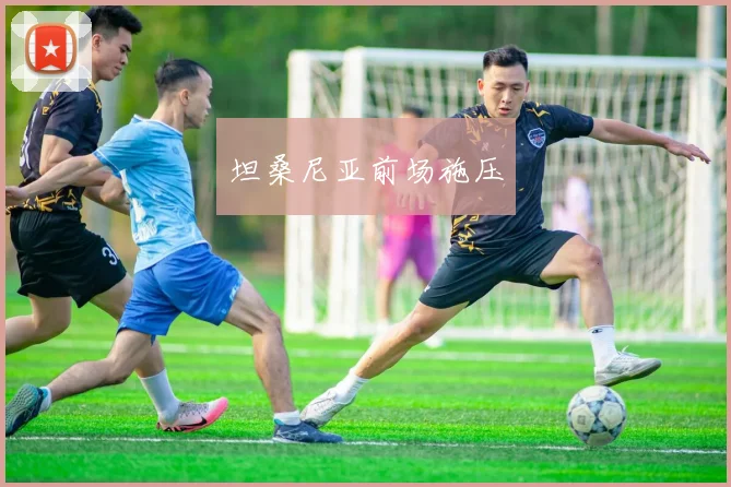 坦桑尼亚前场施压