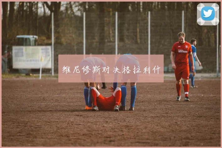 维尼修斯对决格拉利什