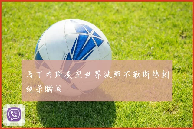 马丁内斯凌空世界波那不勒斯热刺绝杀瞬间