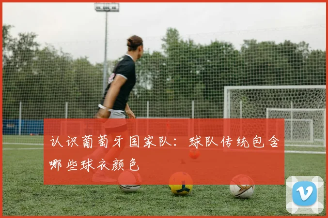 认识葡萄牙国家队:球队传统包含哪些球衣颜色