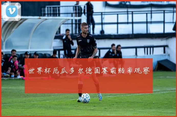 世界杯厄瓜多尔德国赛前赔率观察