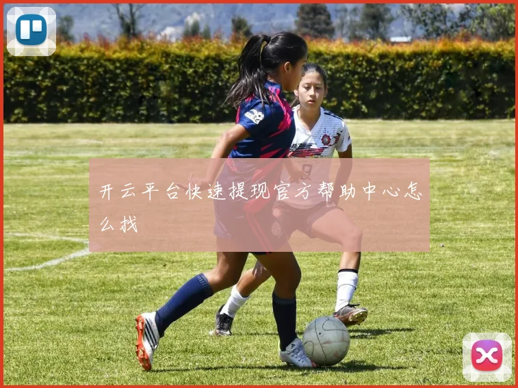 开云平台快速提现官方帮助中心怎么找