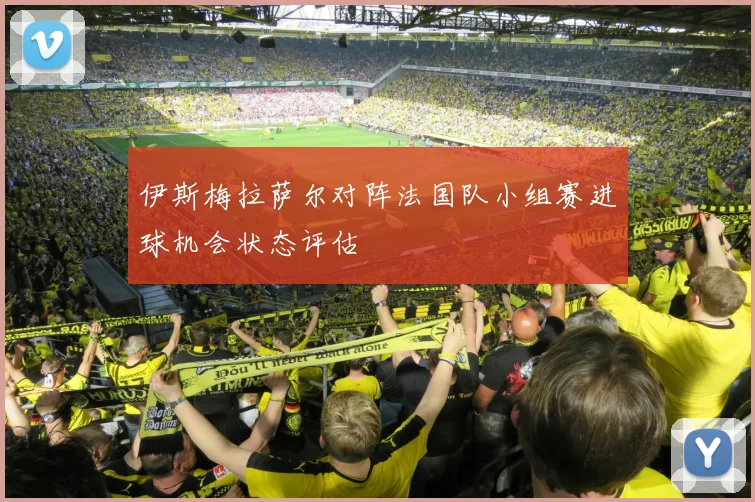 伊斯梅拉萨尔对阵法国队小组赛进球机会状态评估